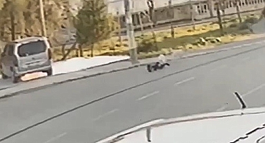 İzmir'de Başıboş Sokak Köpeğinin Saldırısına Uğrayan Çocuk Yaralandı