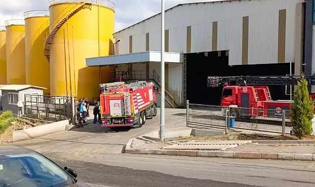 İzmir'de Kimyasal Fabrikasında Patlama: Ölü ve Yaralılar Var