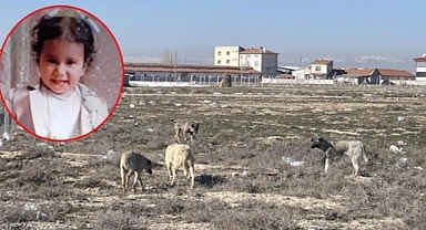 Konya'da 2 Yaşında Hayatın Kaybeden Rana'nın Otopsi Raporu Çıktı