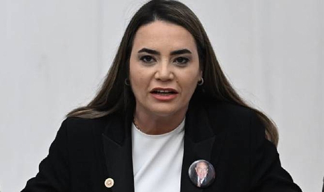 İYİ Partili Ayyüce Türkeş, Başbuğ Türkeş'in Kabrini Ziyareti Sırasında Ülkü Ocaklarının Saldırısına Uğradı