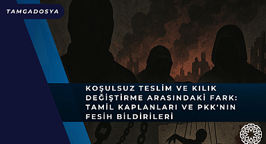 Koşulsuz Teslim ve Kılık Değiştirme Arasındaki Fark: Tamil Kaplanları ve PKK'nın Fesih Bildirileri