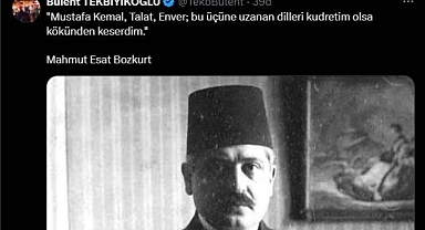 'İkinci Çözüm Süreci'ne Direnen Vali Tekbıyıkoğlu, Talat Paşa'yı Hedef Alan Saldırılara da Sessiz Kalmadı