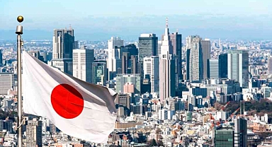 Japon Bebek Bezi Markası, Ekonomik Buhran Gerekçesiyle Türkiye’den Çekildi
