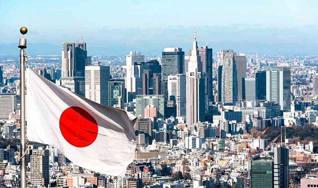 Japon Bebek Bezi Markası, Ekonomik Buhran Gerekçesiyle Türkiye’den Çekildi