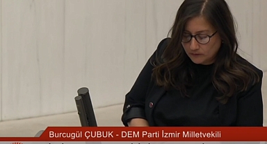 Kürtçü DEM Partili Vekilin Kürtçe Bedduası Meclis'i Karıştırdı