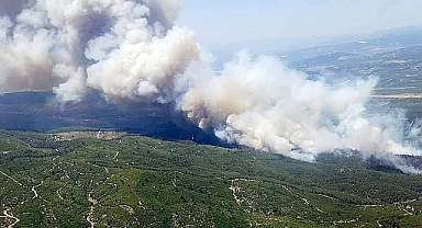 Orman Yangınları Devam Ediyor: Bilecik ve Manisa’da Alevlerle Mücadele Sürüyor