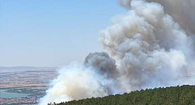 Ankara'da Korkutan Orman Yangını