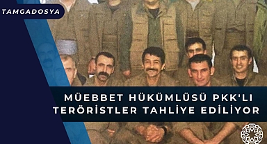 Müebbet Hükümlüsü PKK'lı Teröristler Tahliye Ediliyor