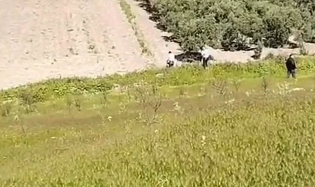 'Rezerv Alanı Yasası' Mağduriyet Yaratmaya Devam Ediyor: Yaşlı Kadın Zeytin Ağaçları İçin Gözyaşı Döktü