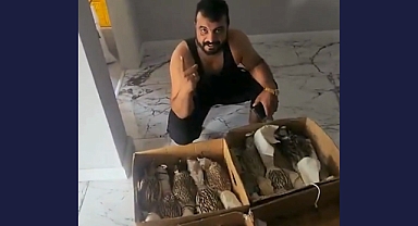Vatandaş Yapılan Suriyeli Çete Elebaşı, Yörük Diyarı Toroslar’daki Yırtıcı Kuşları Arap Zenginlere Satmak İçin Yağmaladı