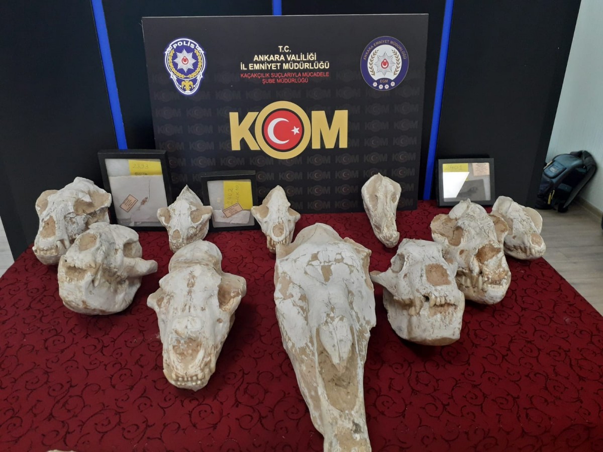 Adnan Oktar Örgütüne Operasyon: Yüzlerce Fosil Bulundu