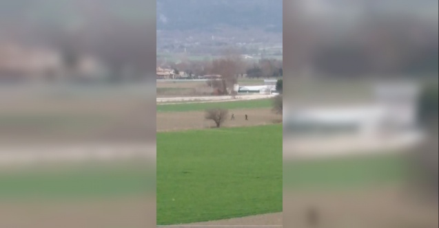 Bolu’da Köpeğe Tecavüz Ederken Yakalanan Şahsa 15 Bin Lira Ceza