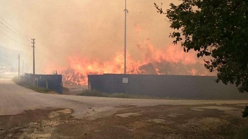 Afyonkarahisar'da Bulunan Biyokütle Enerji Tesisinde Yangın Çıktı