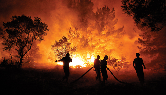 Tarım ve Orman Bakanlığı: Siviller Yangına Müdahale Etmesin - Haberler - TamgaTürk