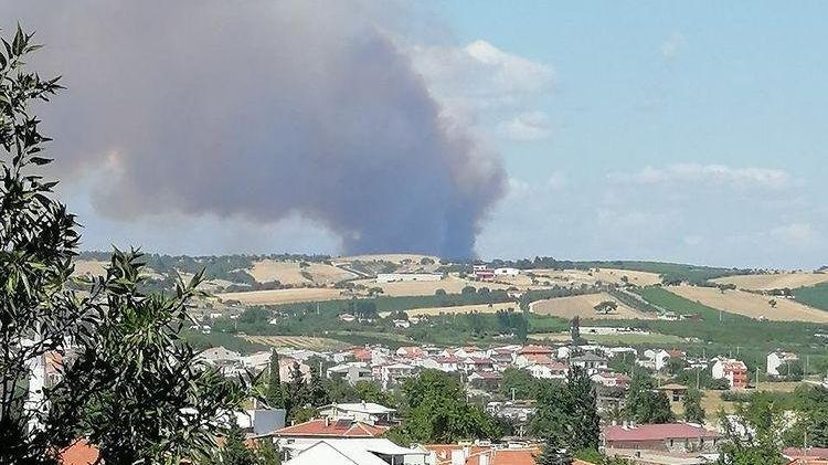 Çanakkale'de Orman Yangını