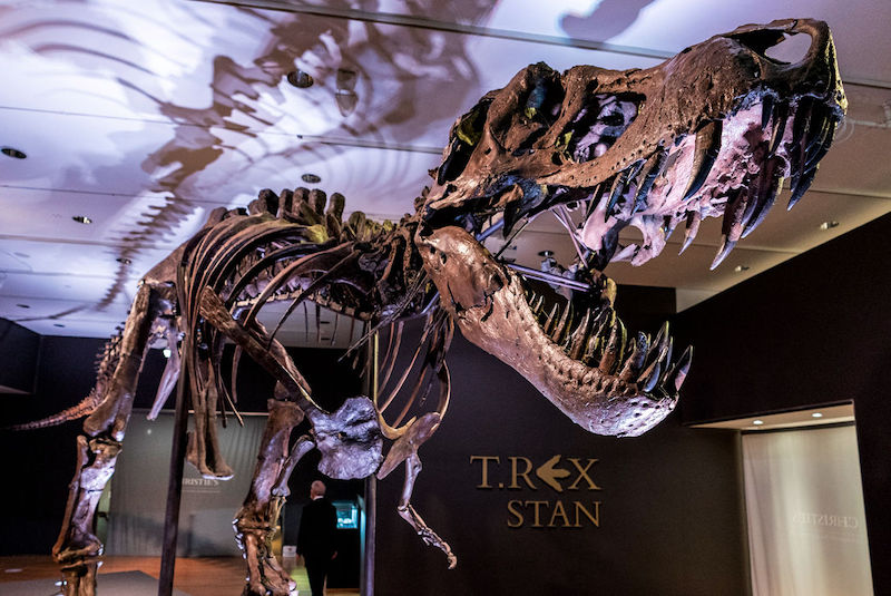 Araştırma: T-Rex Yemek Seçen Hassas Bir Gurmeydi