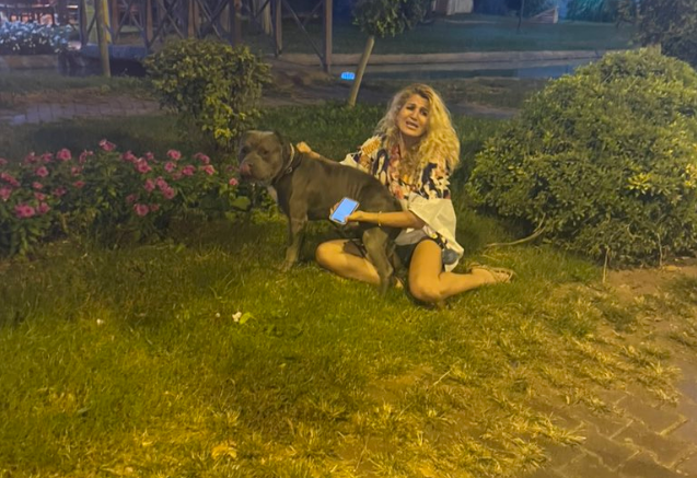 Antalya'da Bir Pitbull Küçük Bir Köpeği Parçalayarak Öldürdü
