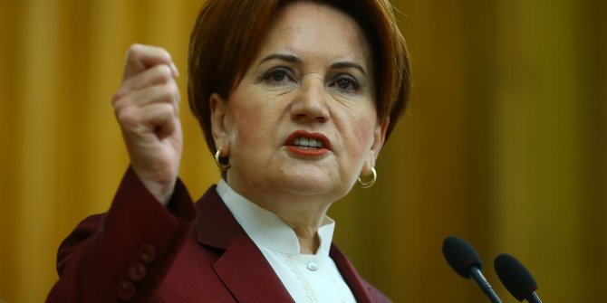Akşener Programlarını İptal Etti