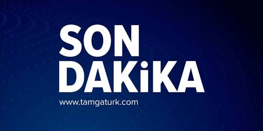 Muğla'da Orman Yangını Çıktı