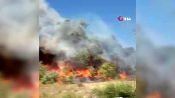 Serik'te Orman Yangını