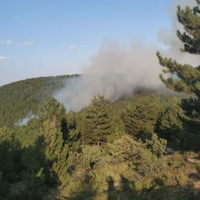 Kütahya'da Orman Yangını