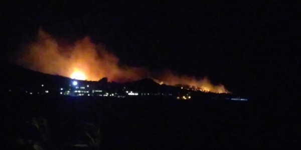 Balıkesir Ayvalık'ta Orman Yangını 