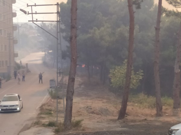Hatay Yangınında Sabotaj İddiaları