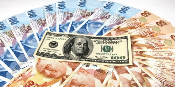 Yılın En Çok Değer Kaybeden Para Birimi: Türk Lirası