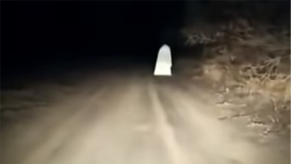 Kazakistan'da Bir Hayalet Dolaşıyor