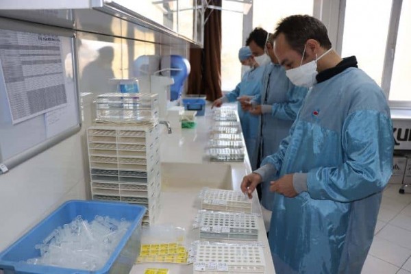 Yerli Aşıda Birinci Faz Tamamlandı