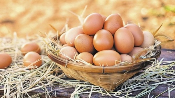 Yumurtanın Fiyatı Bir Yılda İki Katına Çıktı; 1 TL'yi Geçti