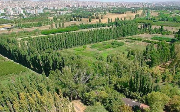 AOÇ'un 800 Dönümü Daha Yapılaşmaya Açıyor