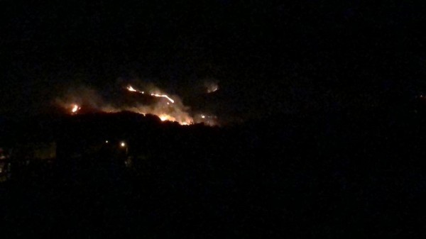 Hatay'da 4 Farklı Noktada Yangın!