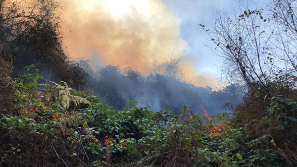 Rize'de İki Ayrı Noktada Orman Yangını: İtfaiye Müdahale Edemiyor