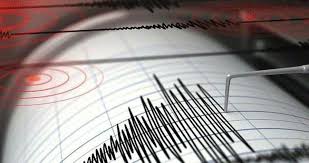 Endonezya'da 5.9 Büyüklüğünde Deprem