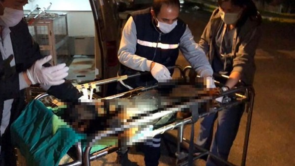 Sokak Köpeğini Öldüresiye Döven Kişiye Para Cezası