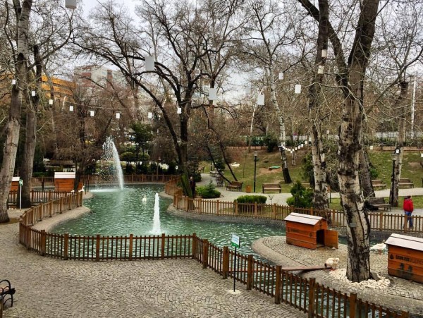 Ankara Kuğulu Park Polis Tarafından Kapatıldı