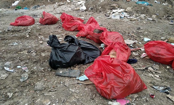 Ankara'da Vahşet: 20 Köpek Ölü Bulundu