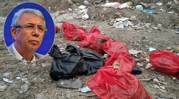 Mansur Yavaş Köpek Katliamları ile İlgili Açıklama Yaptı
