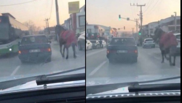 Bursa'da Bir Kişi Atını Aracına Bağlayarak Koşturdu