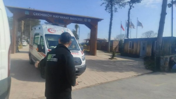 Çekmeköy Hayvanat Bahçesinde Silahlı Kavga: 2 Ölü
