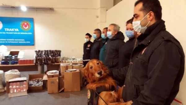 Köpek 'Marshi' Tırda 56 Milyon Lira Değerinde Uyuşturucuyu Yakaladı