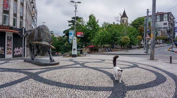 Pazar Günü Sokağa Çıkma Yasağının Olmadığı İllerimiz