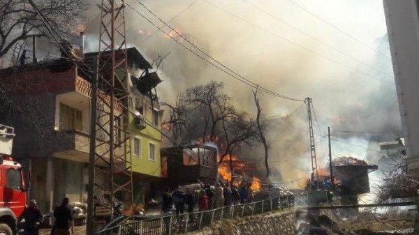 Artvin'de 50 Ev Yandı