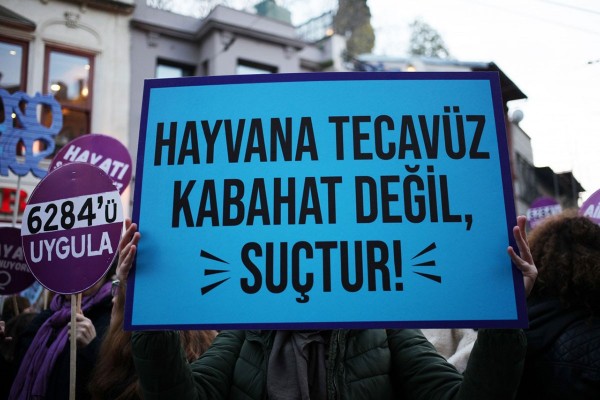 Antalya'da Bir Köpeğe Tecavüz Edildi