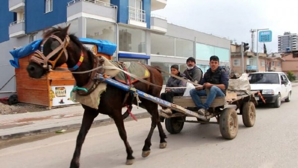 Arızalı Otomobili Ata Çektirdiler 