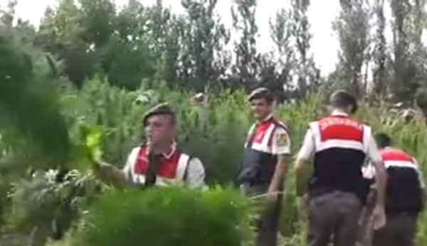 İstanbul Esrar Kullanımında Dünya İkincisi, Listede Adana da Var 