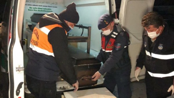 Üvey Annesiyle İlişkisi Olan Oğlunu Öldürüp Ormana Gömdü