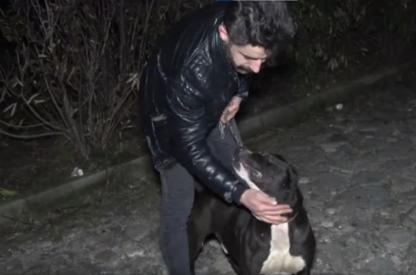 Tecavüzcüyü Pitbull Yakaladı Esnaf Dövdü