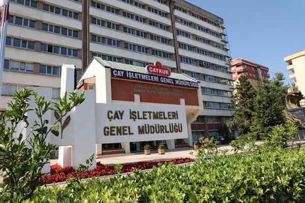 Varlık Fonu'na Devredilen ÇAYKUR 547 Milyon Lira Zarar Etti